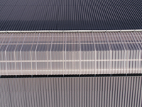 Karvidės Pakruojyje